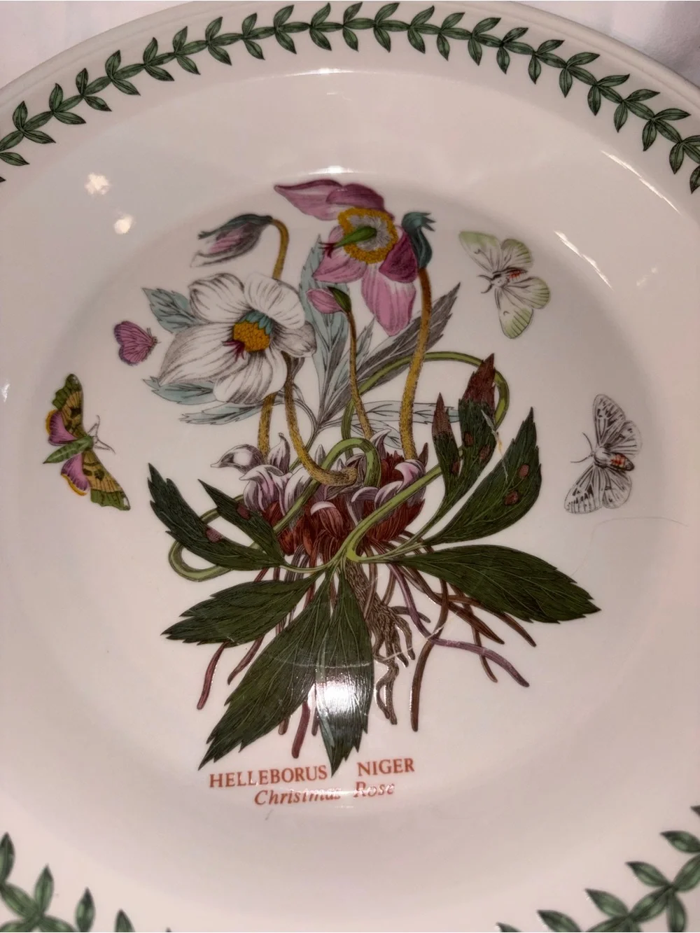 Like new Portmeirion Botanic Garden Pie Plate Christmas Rose